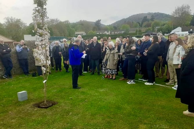 Abergavenny CC planted a tree in memory of club stalwart Ray Hamer