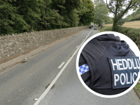 Man dies in Llanover traffic collision
