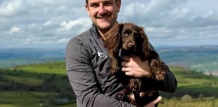 MS calls for better bluetongue guidance from Welsh Government