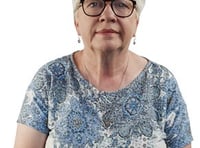 Fund education not more Senedd members says councillor