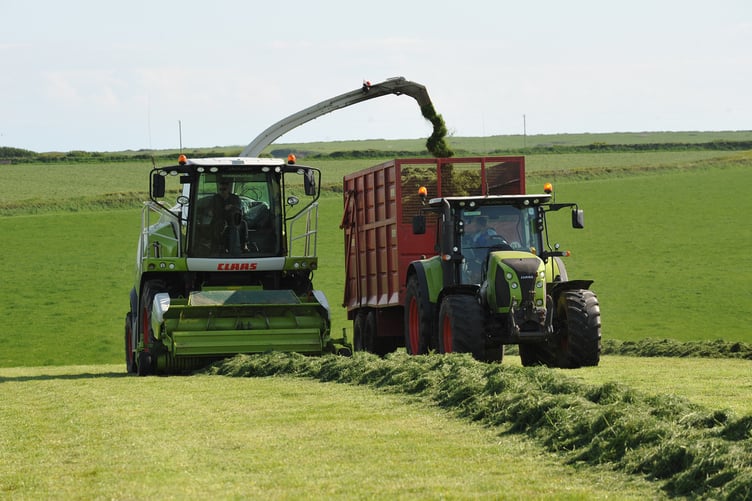 Preparing for harvest