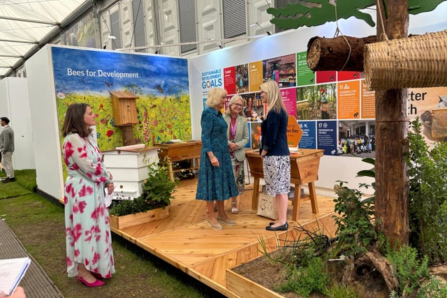Bees for Development Celebrates World Bee Day
