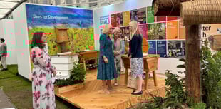 Bees for Development Celebrates World Bee Day