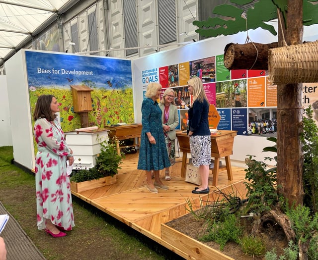 Bees for Development Celebrates World Bee Day