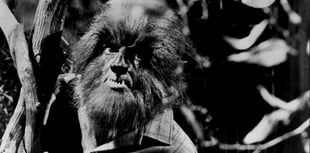 
Abergavenny man warns that the Forest of Dean is cursed!