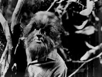 
Abergavenny man warns that the Forest of Dean is cursed!