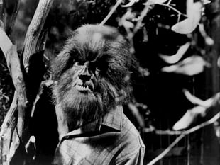 
Abergavenny man warns that the Forest of Dean is cursed!