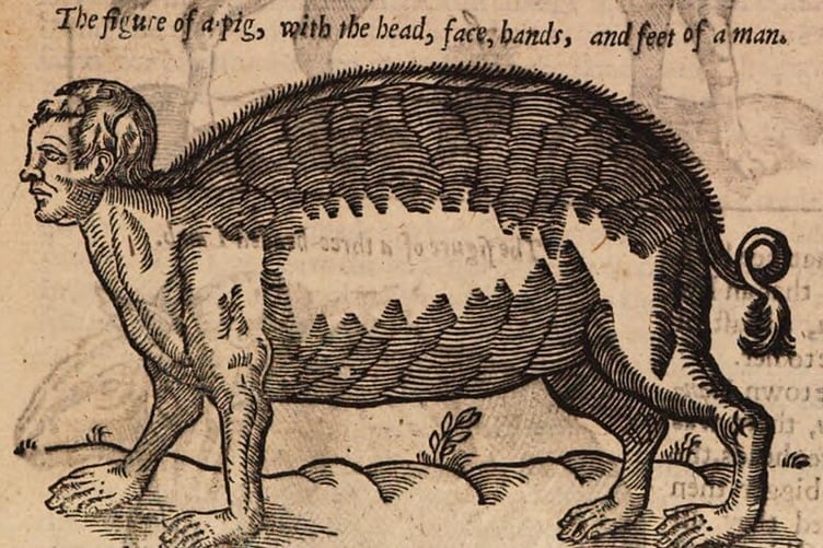 A man pig!