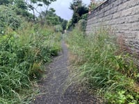 
Welcome to the jungle! 