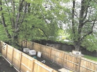 Abergavenny residents approved to trim hazardous lime trees