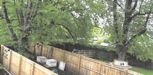 Abergavenny residents approved to trim hazardous lime trees