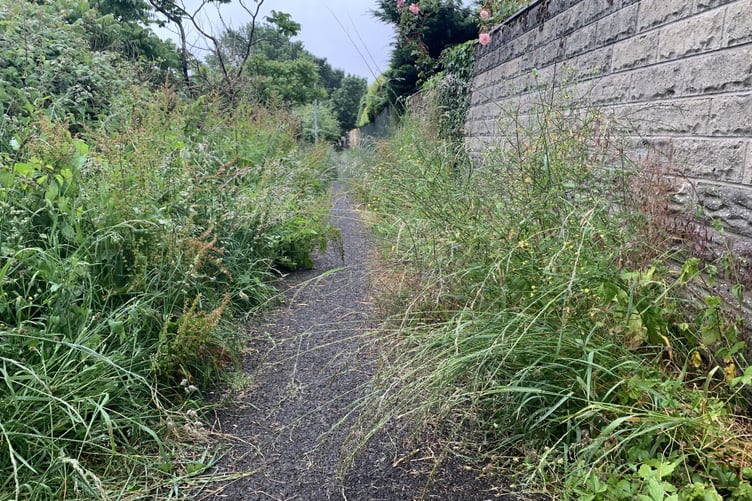 A footpath