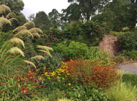 Llanover Garden celebrates 60 years of opening for the NGS