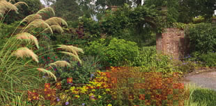 Llanover Garden celebrates 60 years of opening for the NGS
