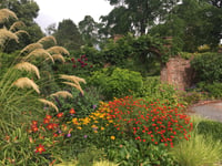 Llanover Garden celebrates 60 years of opening for the NGS