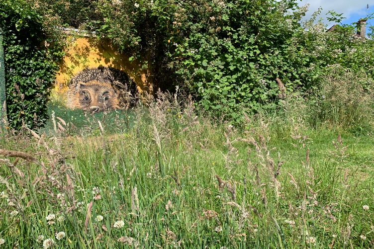 Bailey Park Mural
