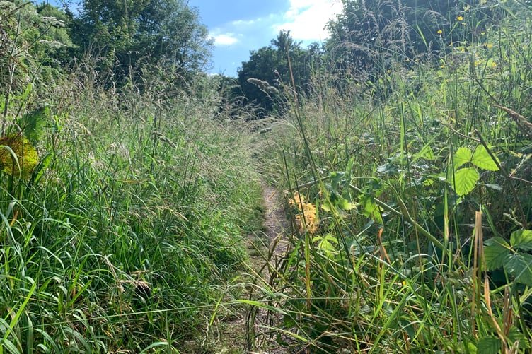 Footpath