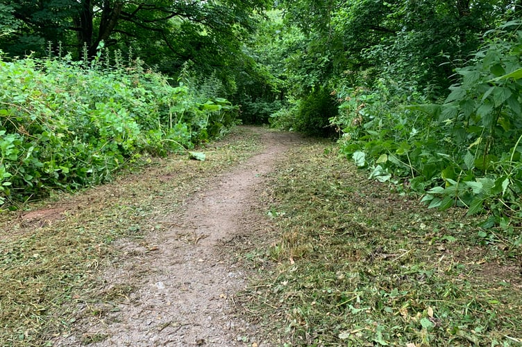 Footpath