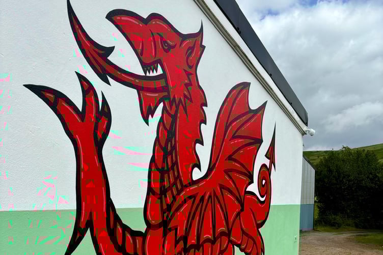The dragon mural