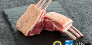 New project will look at meat quality of fresh and frozen Welsh Lamb