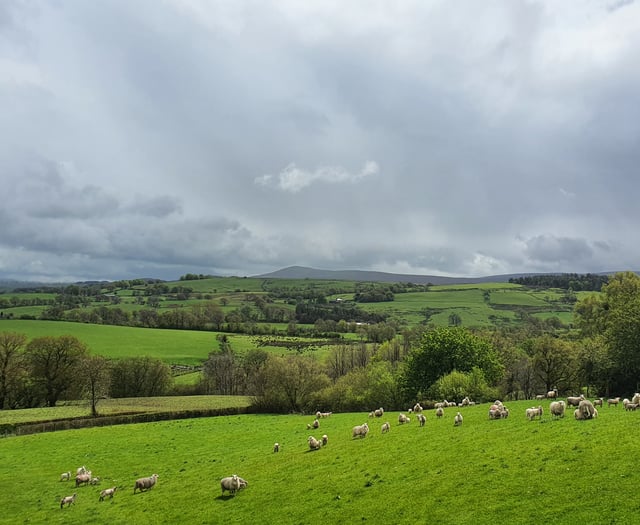 Union welcome for farming support schemes
