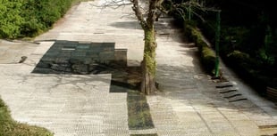 Bailout for council's leisure trust