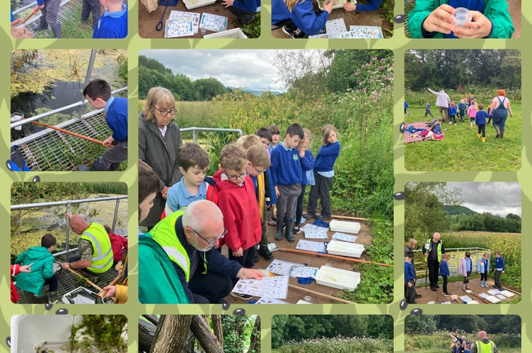 Friends of Castle Meadows