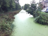 Canal is more eyesore than tourist attraction claims councillor
