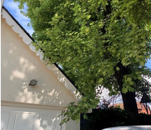 Branches of this sycamore tree can be cut back as they are overhanging this garage. (Picture: Monmouthshire County Council planning file).