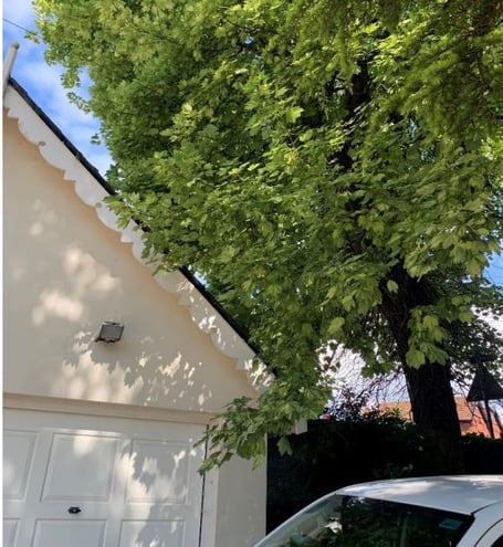 Branches of this sycamore tree can be cut back as they are overhanging this garage. (Picture: Monmouthshire County Council planning file).