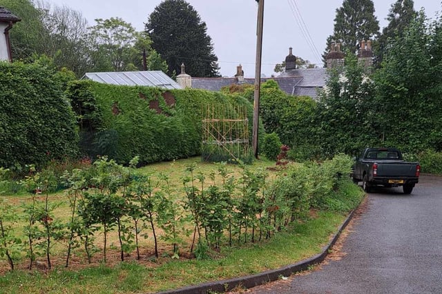Council verge officially green lighted for local garden
