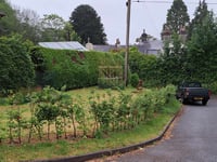 Council verge officially green lighted for local garden