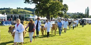 County show breaks the records