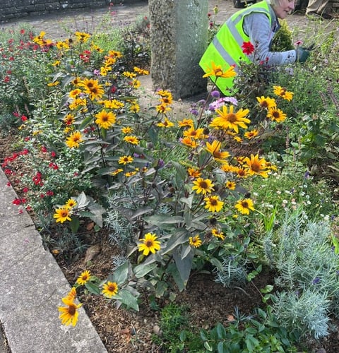 Friends of Bailey Park