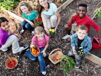 Local boost for ‘grow your own’ wannabees