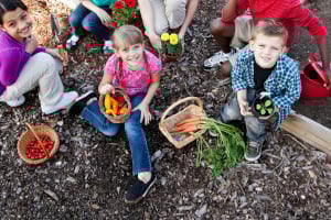 Stock image children growing