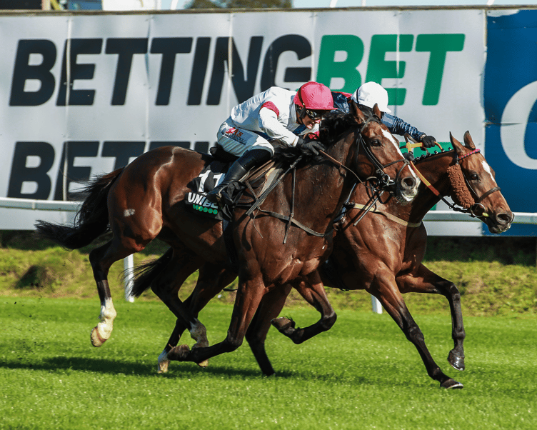 Pachacuti holds off Lusaka in the Welsh Jump Jockeys' Derby at Chepstow