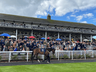 Dragonbet Festival opens at Chepstow