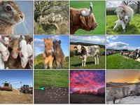 Winners revealed for FUW 2025 calendar competition
