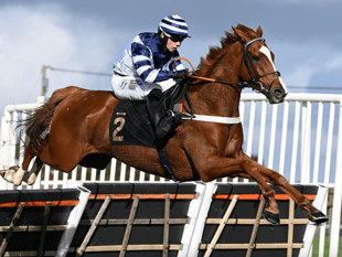Four Festival hopes for Gold Cup winner Sam