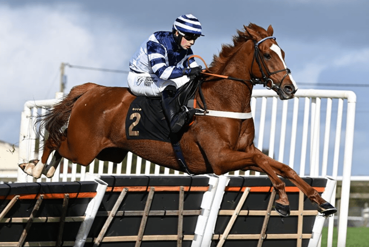 Celtic Dino raced home second at Ascot. File photo: Wincanton Racecourse/ Francesca Altoft