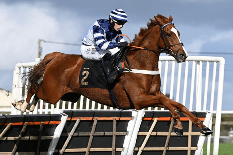Celtic Dino jumps clear to win at Wincanton