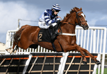 Celtic Dino second in Ascot showcase as Sam celebrates more success