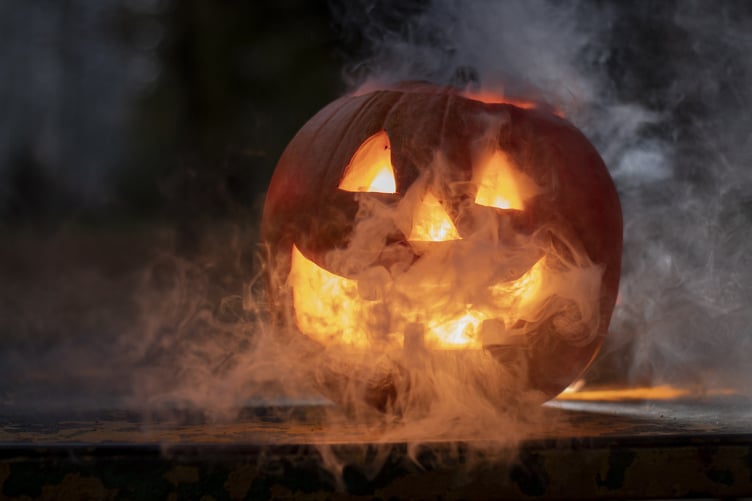 Hallowe'en pumpkin Treloars Holybourne
