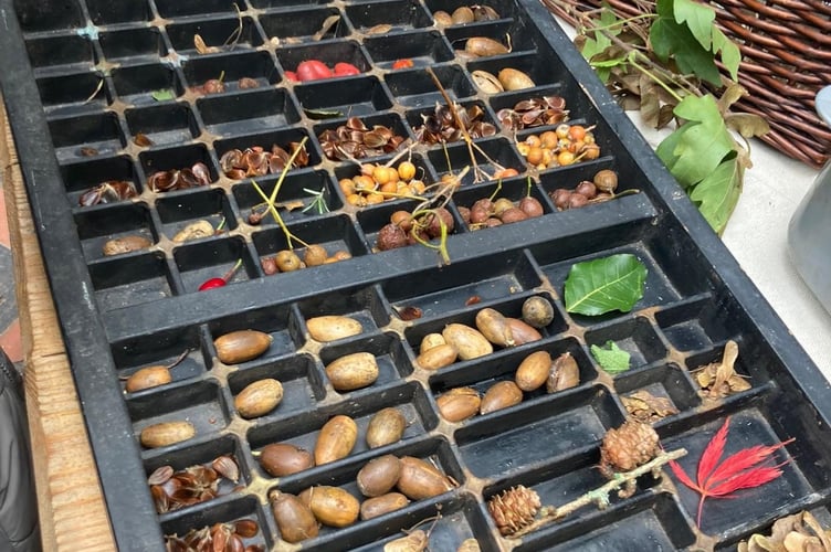 Nuts and seeds