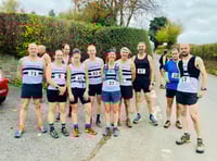 Race director quits after 'years of online criticism'