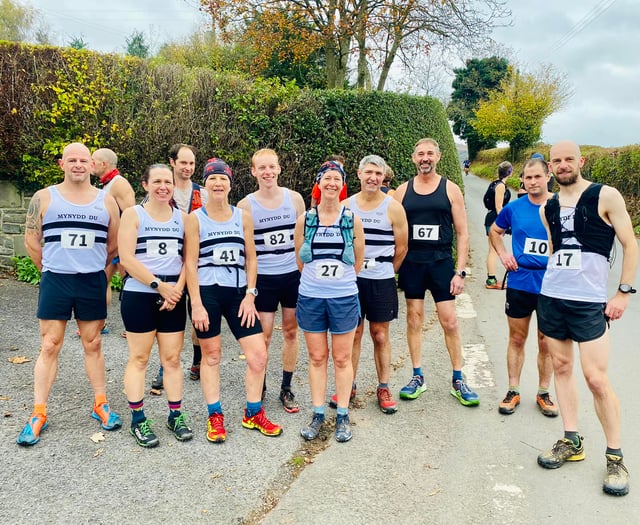 Race director quits after 'years of online criticism'