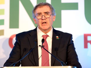 Bluetongue approved red markets are a ‘step forward’ says NFU Cymru 