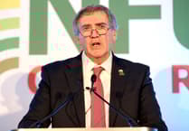 Bluetongue approved red markets are a ‘step forward’ says NFU Cymru