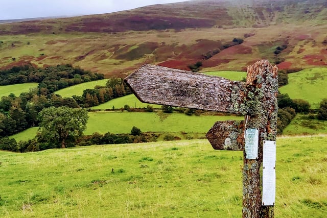 Enjoy a taster walk with the Friends of the Brecon Beacons